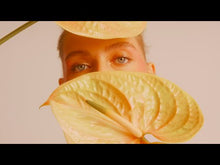 Load and play video in Gallery viewer, One Hand Washes the Other Handsoap 300ml